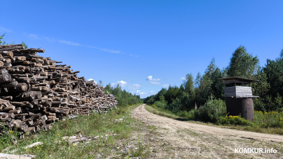 17.08.2025. Осиповичский район. Велосипедная поездка по маршруту «Дараганово – Межное – Корытное».