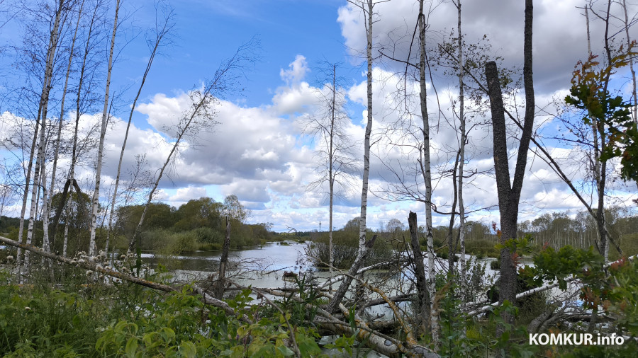 17.08.2025. Осиповичский район. Велосипедная поездка по маршруту «Дараганово – Межное – Корытное».