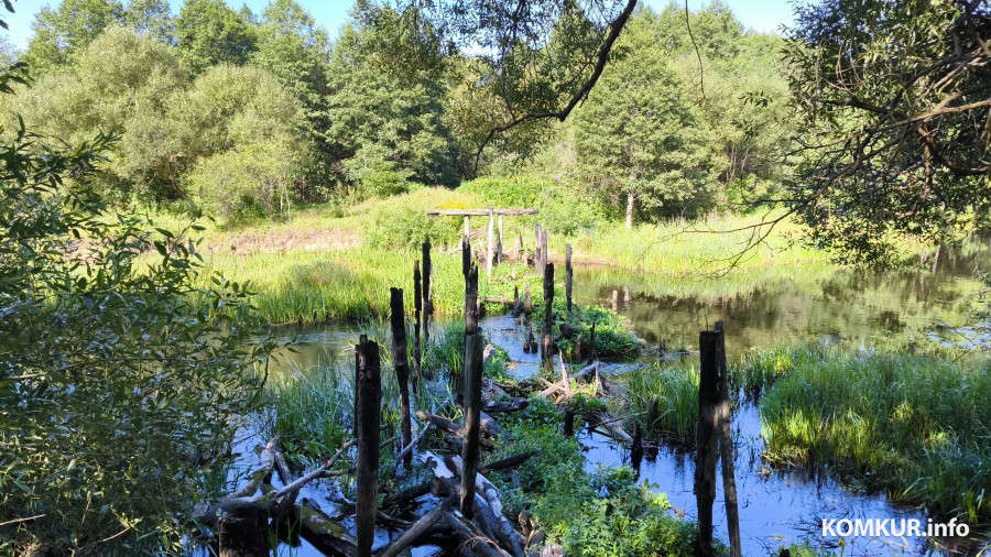 17.08.2025. Осиповичский район. Велосипедная поездка по маршруту «Дараганово – Межное – Корытное». Остатки моста через р. Птичь.