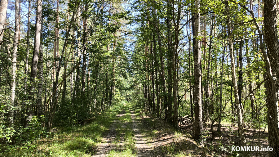 17.08.2025. Осиповичский район. Велосипедная поездка по маршруту «Дараганово – Межное – Корытное».