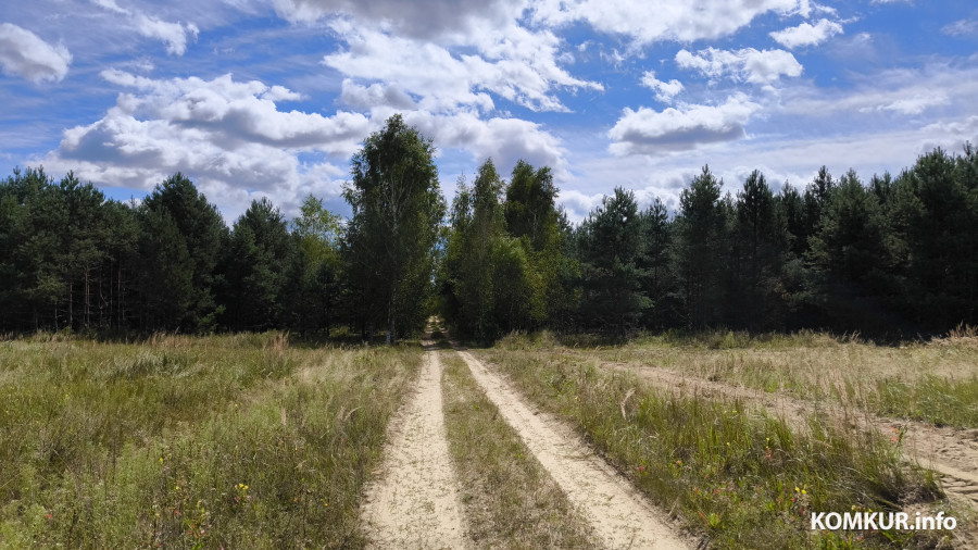 17.08.2025. Осиповичский район. Велосипедная поездка по маршруту «Дараганово – Межное – Корытное». На подъезде к Бортному.