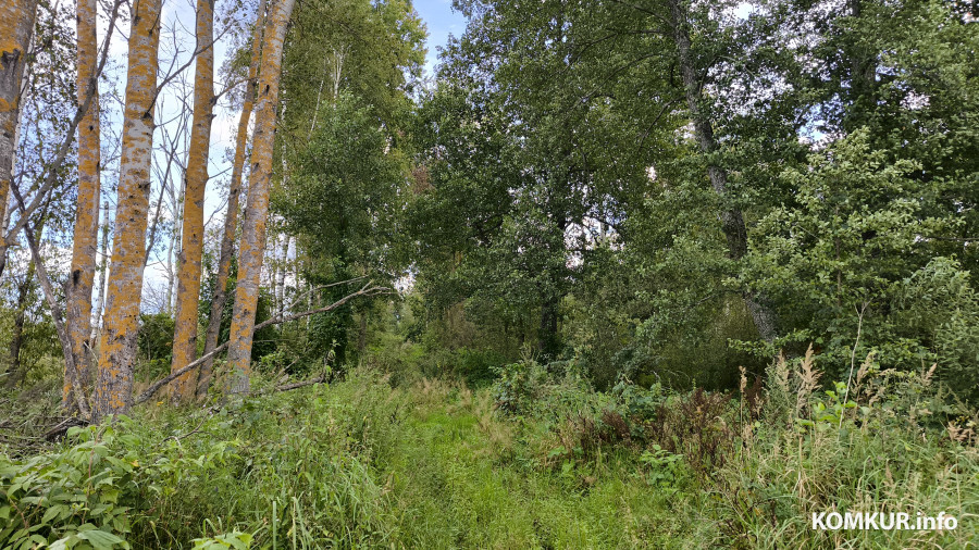 17.08.2025. Осиповичский район. Велосипедная поездка по маршруту «Дараганово – Межное – Корытное».