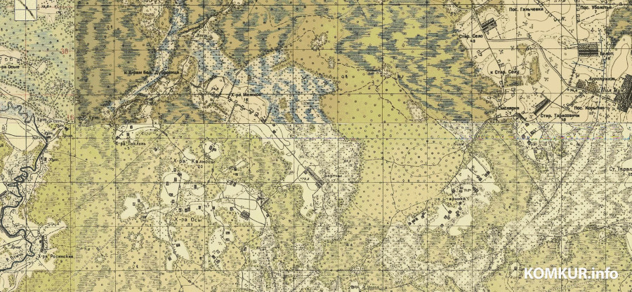 Агломерация хуторов и деревень на юге Осиповичского района. Скрин-шот с карты начала 20 века.