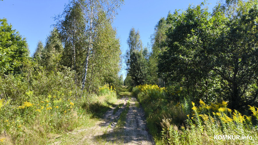 17.08.2025. Осиповичский район. Велосипедная поездка по маршруту «Дараганово – Межное – Корытное».