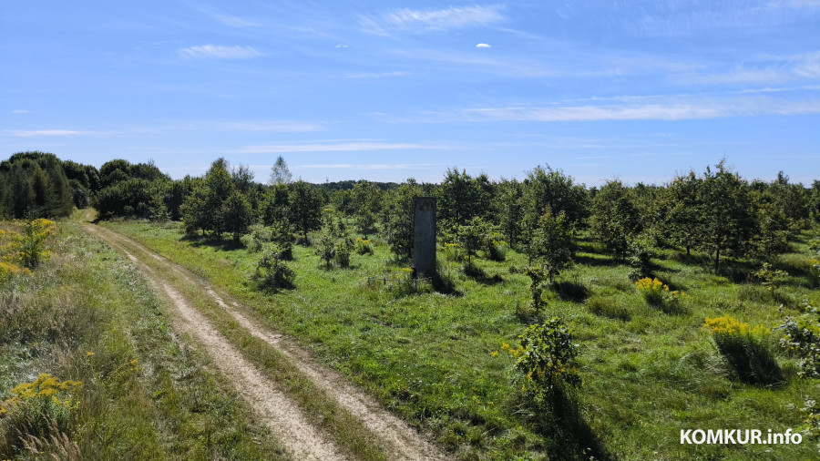 Дважды погибшая. Побывали на месте сожженной деревни недалеко от Бобруйска