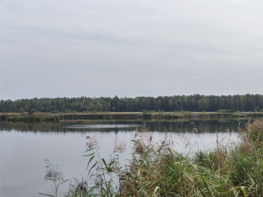 Рыбак из Бобруйска утонул в озере на Кличевщине