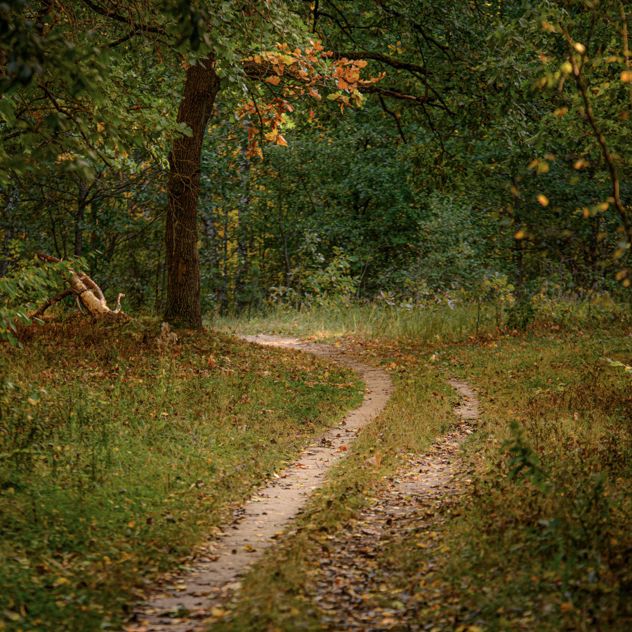 Осень приходит с дождями. Прогноз погоды на неделю с 15 по 21 сентября