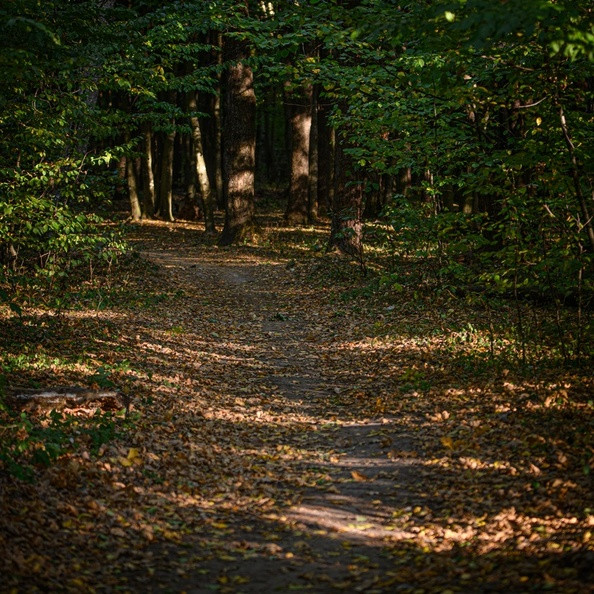 К середине недели начнется похолодание. Прогноз погоды на неделю с 22 по 28 сентября