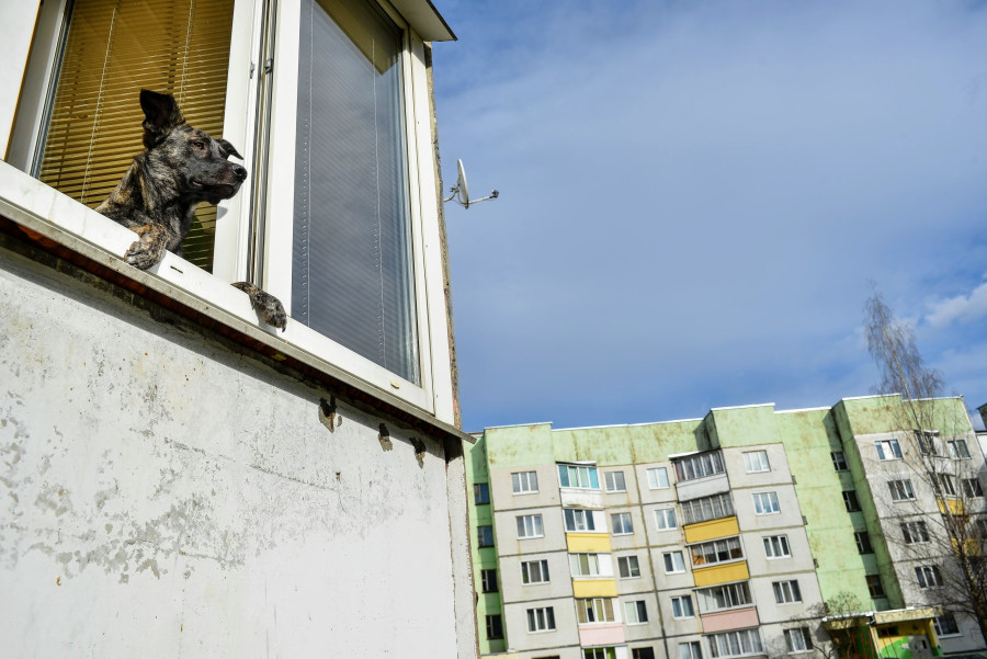 Квартиры и дома в Бобруйске и регионе: предложения на рынке жилья в середине сентября-2025