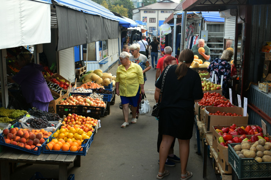 «Ради нашего рынка приезжают даже с города». Гигантский лук, мед с консультацией и другие товары бобруйского рынка