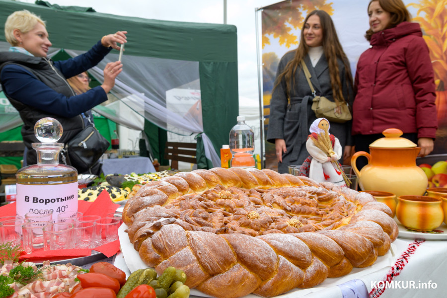 27.09.2025. Агрогородок Телуша. Районный фестиваль-ярмарка тружеников села «Дожинки-2025».
