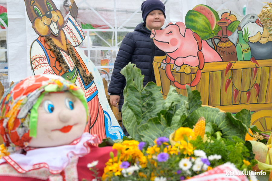 27.09.2025. Агрогородок Телуша. Районный фестиваль-ярмарка тружеников села «Дожинки-2025».