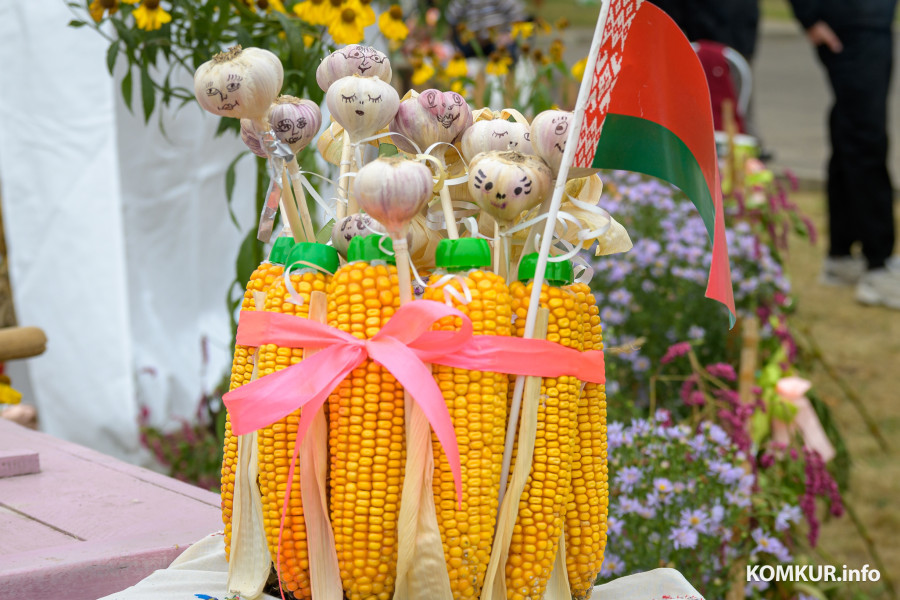 27.09.2025. Агрогородок Телуша. Районный фестиваль-ярмарка тружеников села «Дожинки-2025».