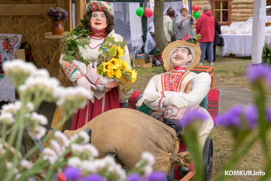27.09.2025. Агрогородок Телуша. Районный фестиваль-ярмарка тружеников села «Дожинки-2025».