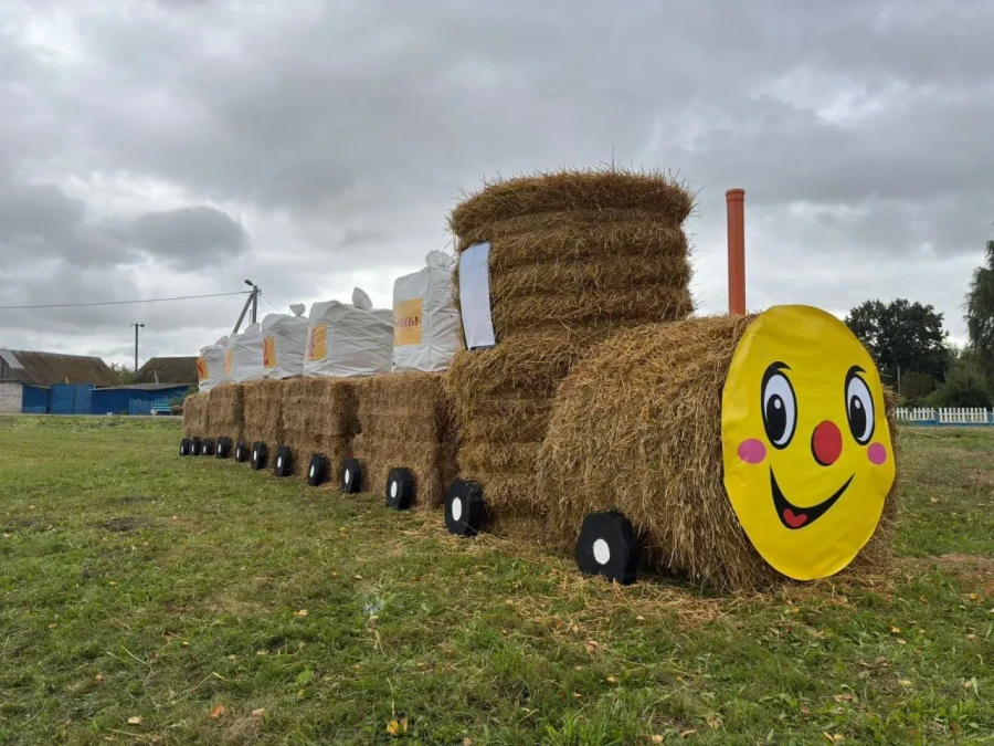 Сельскохозяйственные организации украшают Бобруйский район креативными соломенными композициями. Фото: tribunapracy.by.