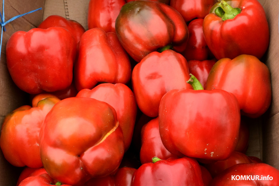 27.09.25, Бобруйск. Кирмаш «Золотая осень».