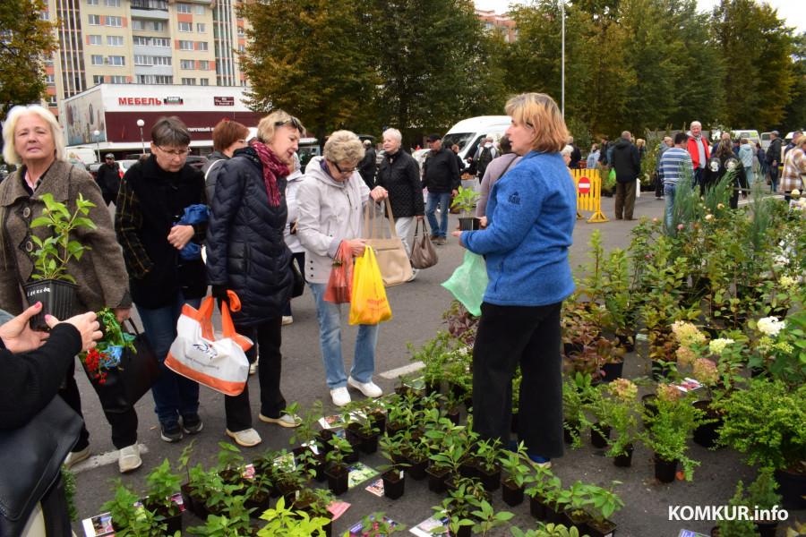 27.09.25, Бобруйск. Кирмаш «Золотая осень».
