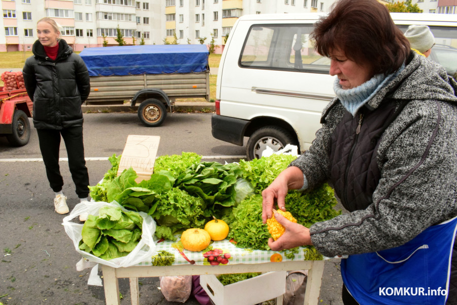 27.09.25, Бобруйск. Кирмаш «Золотая осень».