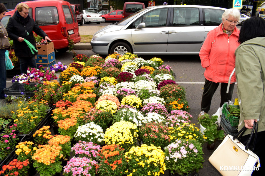27.09.25, Бобруйск. Кирмаш «Золотая осень».