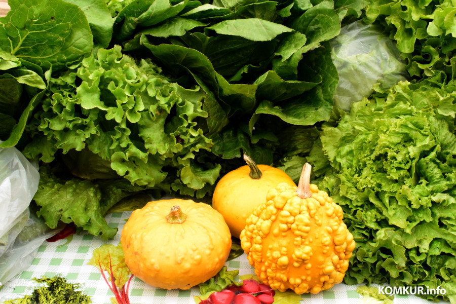 27.09.25, Бобруйск. Кирмаш «Золотая осень».