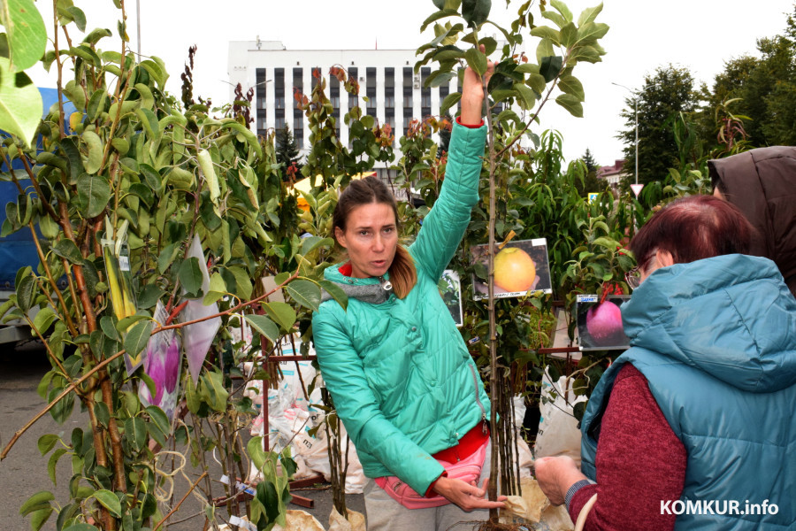 27.09.25, Бобруйск. Кирмаш «Золотая осень».