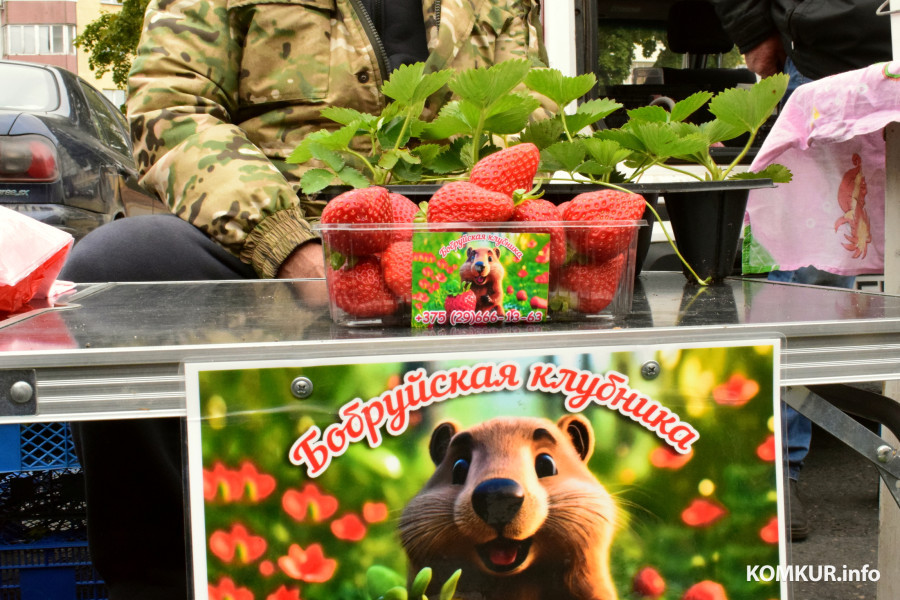 27.09.25, Бобруйск. Кирмаш «Золотая осень».