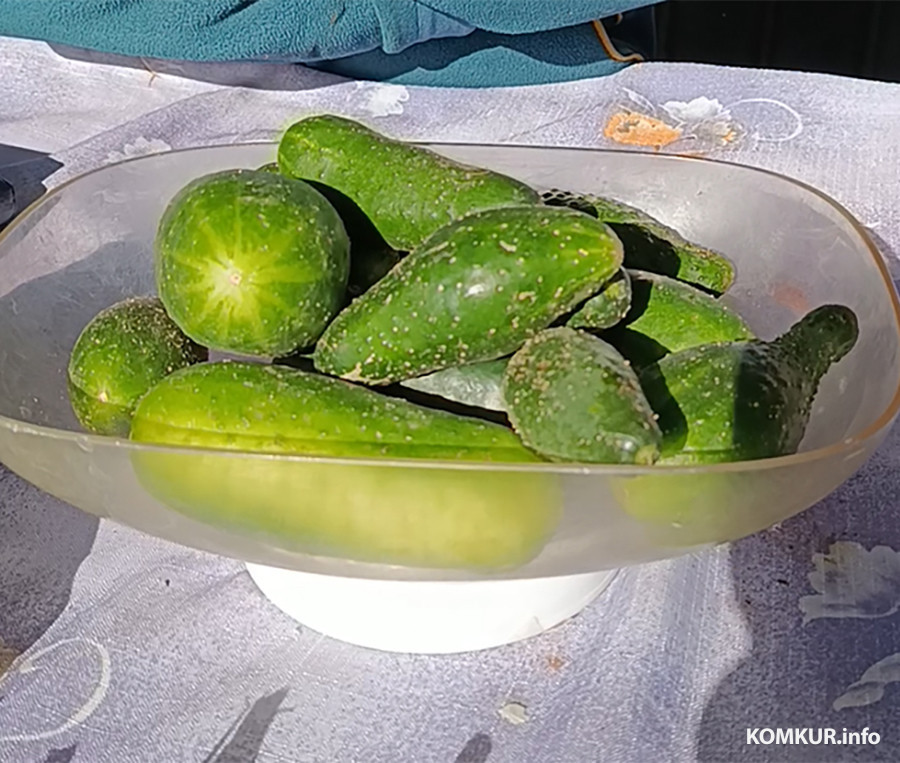 24.09.2025 год. Центральный глусский рынок.