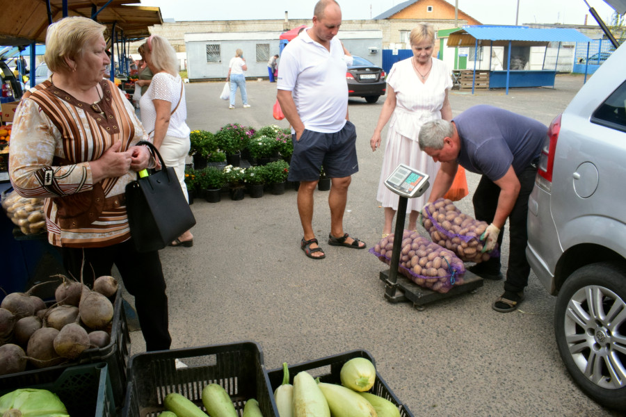 Бобруйск, 5 сентября 2025 года. Рынок «Западный».