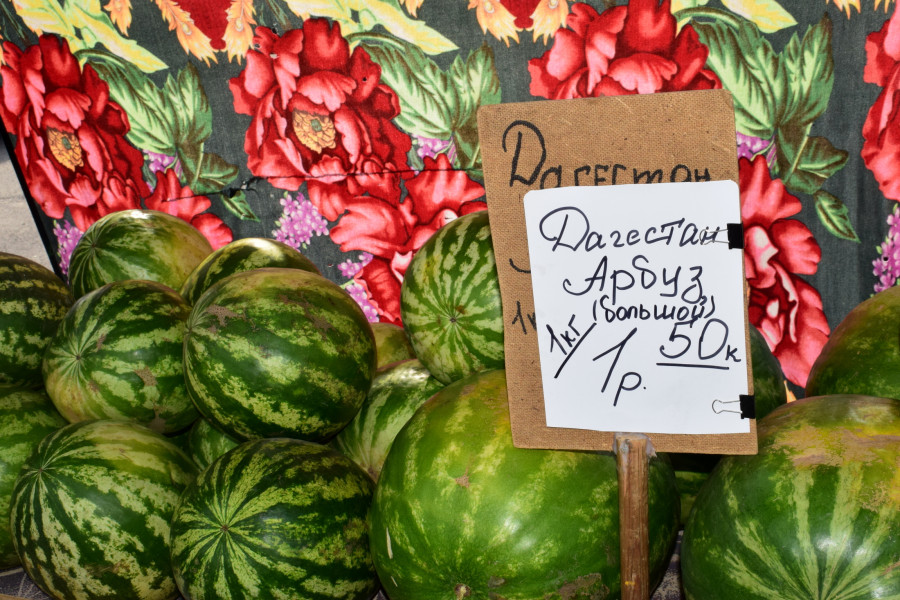 Бобруйск, 5 сентября 2025 года. Рынок «Западный».