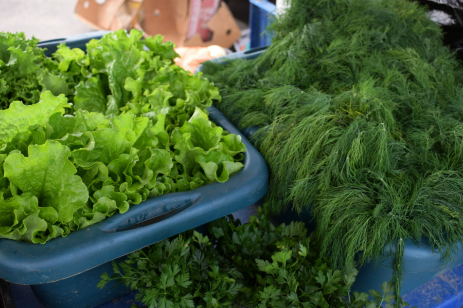 Бобруйск, 5 сентября 2025 года. Рынок «Западный».