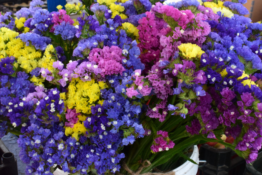 Бобруйск, 5 сентября 2025 года. Рынок «Западный».