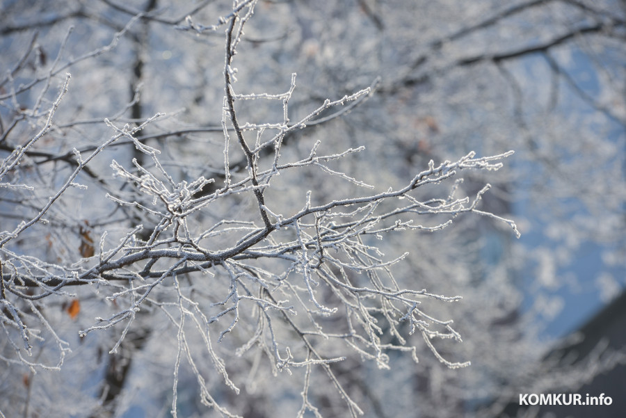Ночь на пятницу в Бобруйске оказалась самой холодной после лета
