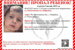 Вечером в понедельник в Бобруйске пропал мальчик-дошкольник. Ребенка ищут и просят помощи (Обновлено: найден, жив) 