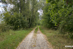 В лесах Бобруйского района снова ограничение