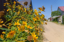 Не бабье, а просто лето. В Бобруйске побит температурный рекорд дня
