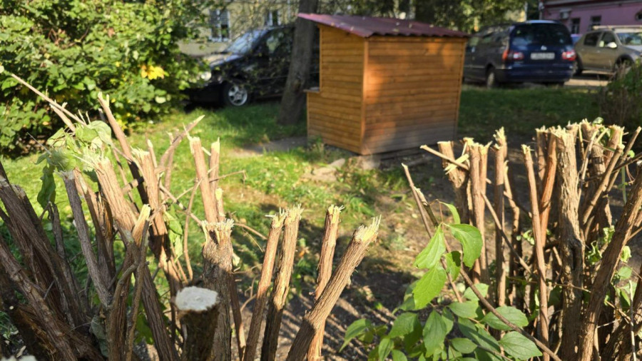 Двор на Советской. 28.08.25.