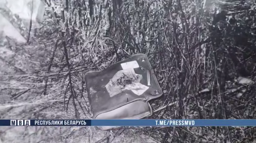 В Беларуси раскрыто убийство девятилетней девочки, совершенное 34 года назад