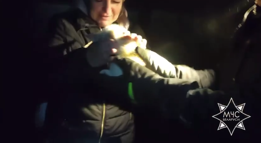 Скан с видео МЧС Беларуси