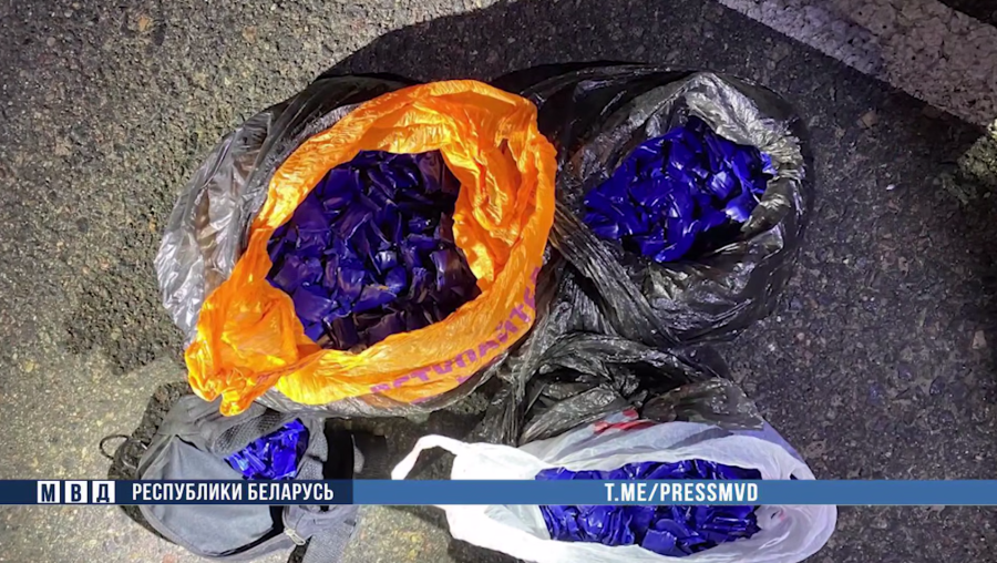 Правоохранители Могилевщины перекрыли крупный канал поставки наркотиков