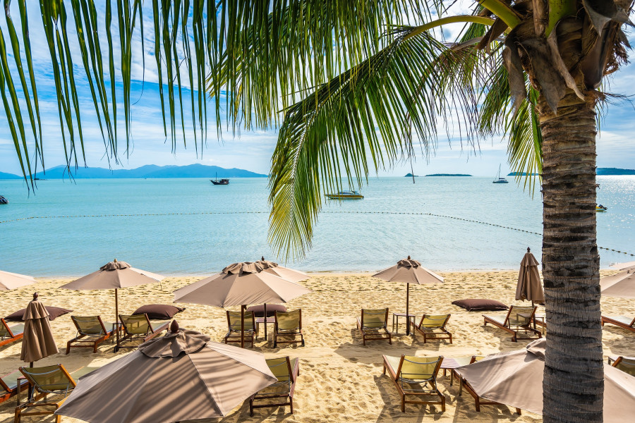 «Белавиа» запустит чартеры на иорданский курорт на Красном море: узнали когда