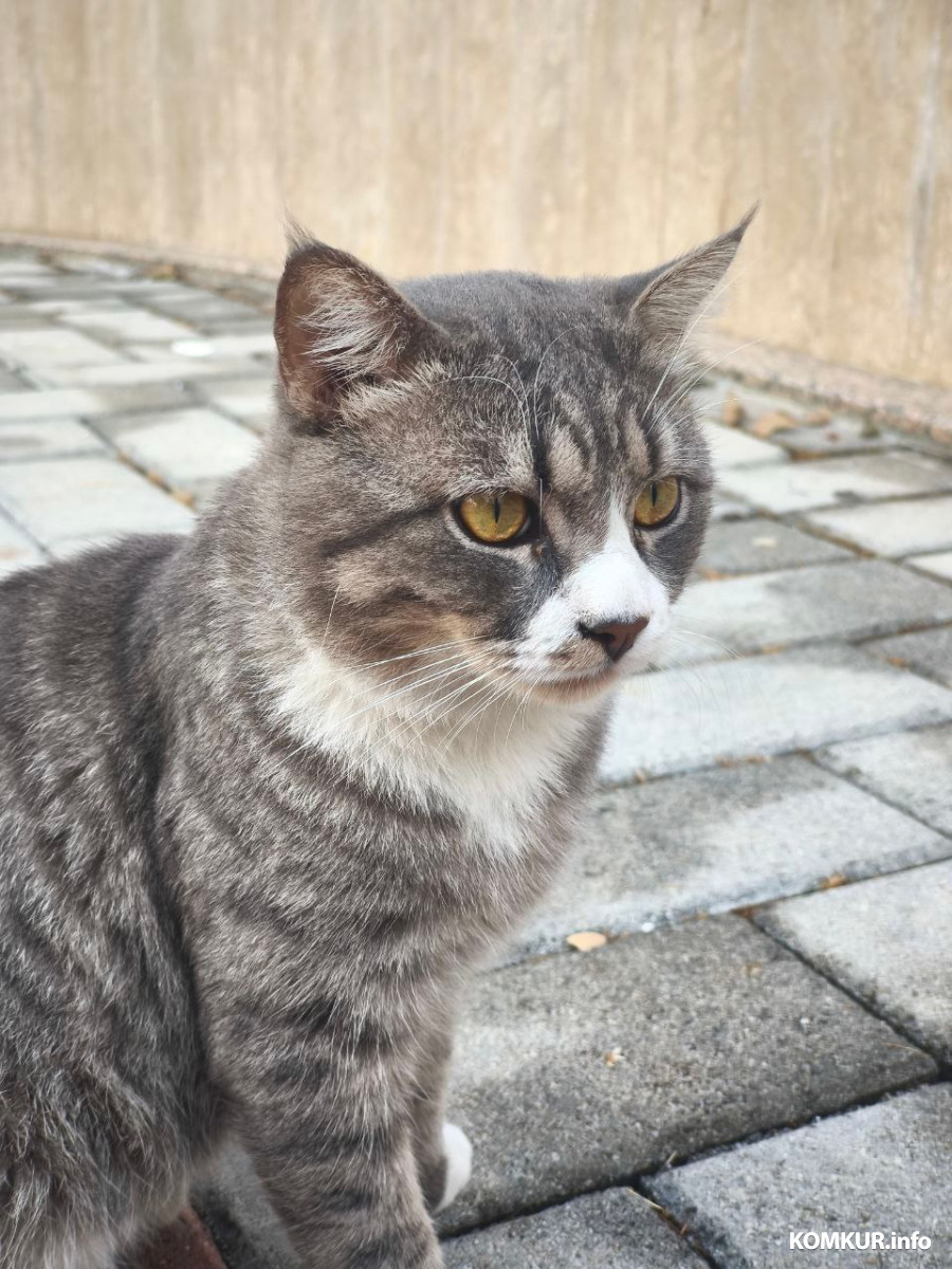 Октябрь 2025 г. Махмутлар, Турция