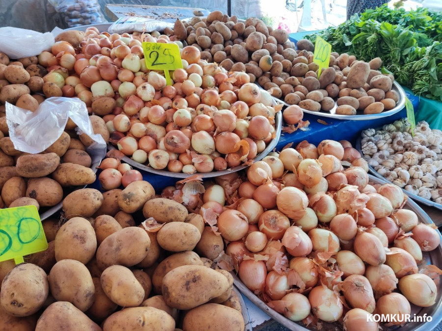 Октябрь 2025 г. Махмутлар, Турция