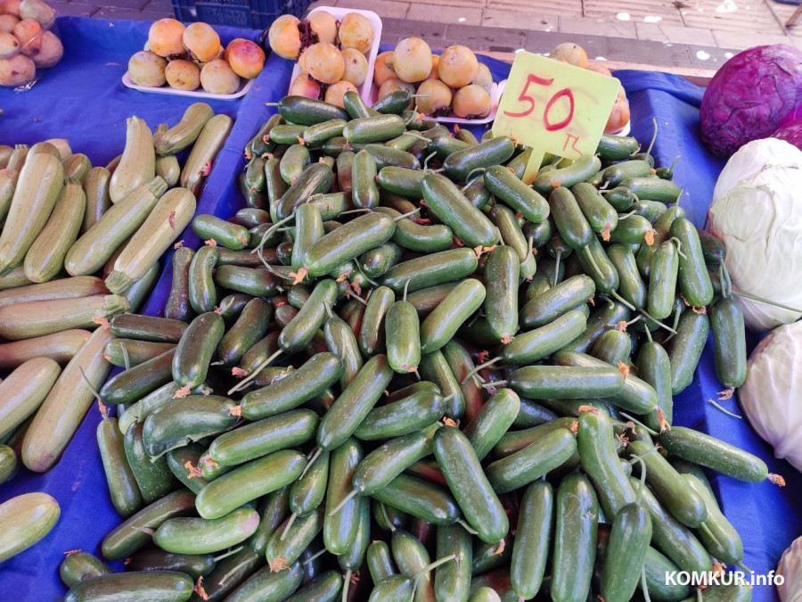 Октябрь 2025 г. Махмутлар, Турция