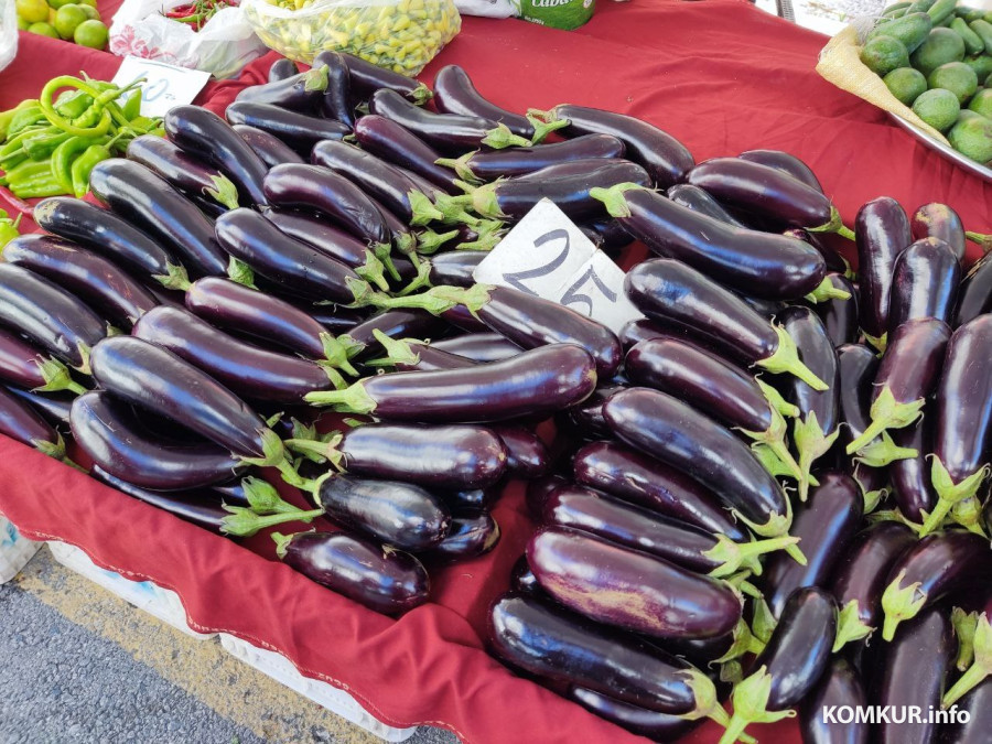 Октябрь 2025 г. Махмутлар, Турция