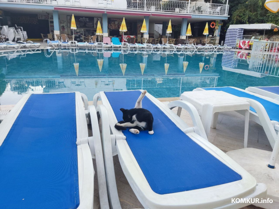 Октябрь 2025 г. Махмутлар, Турция