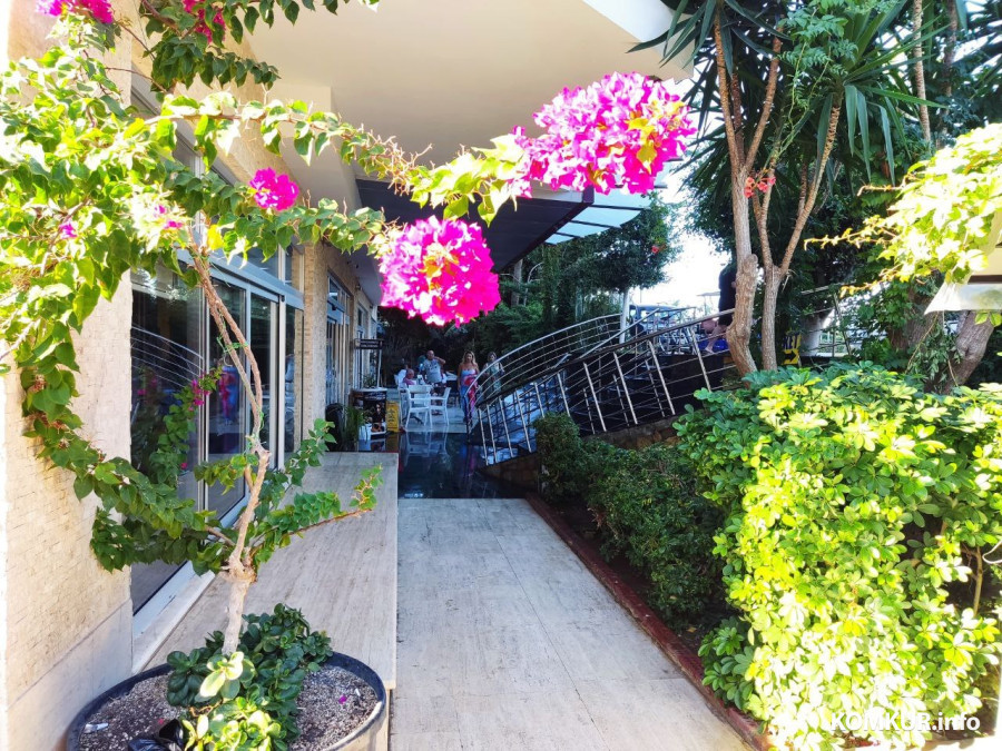 Октябрь 2025 г. Махмутлар, Турция