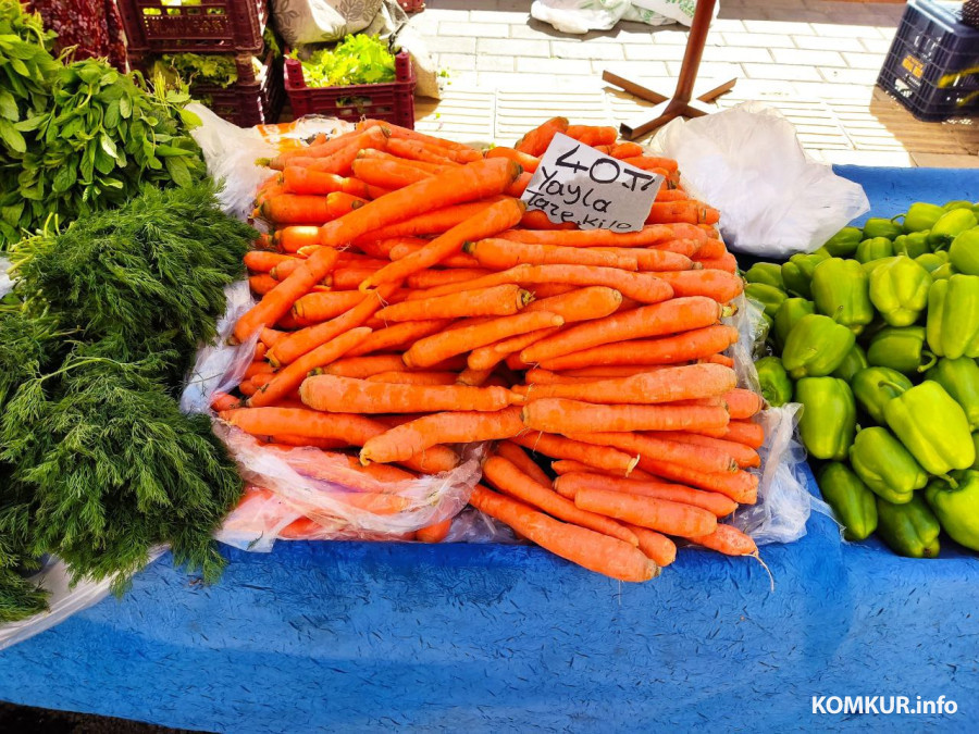 Октябрь 2025 г. Махмутлар, Турция