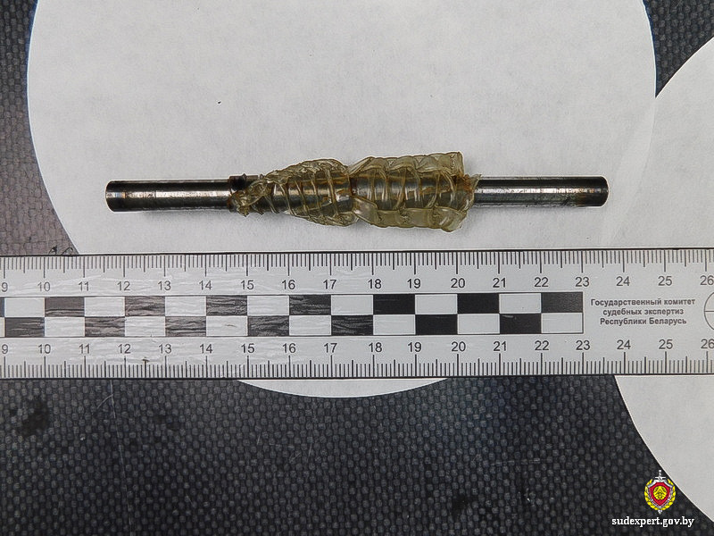 Фото: управление ГКСЭ по Могилевской области