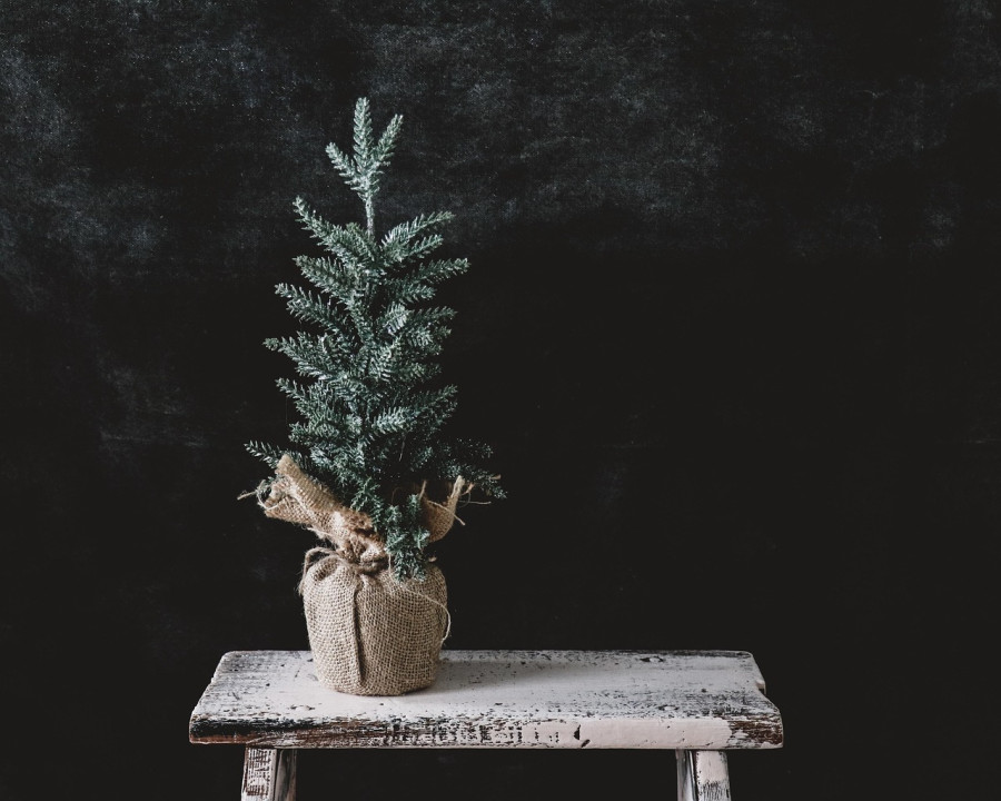 Елка из Instagram: мошенники «развели» жительницу Гродненской области на 400 рублей