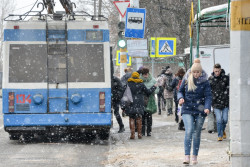  «Думаю, комета пролетит мимо, и всё».  Жизнь глазами бобруйчан